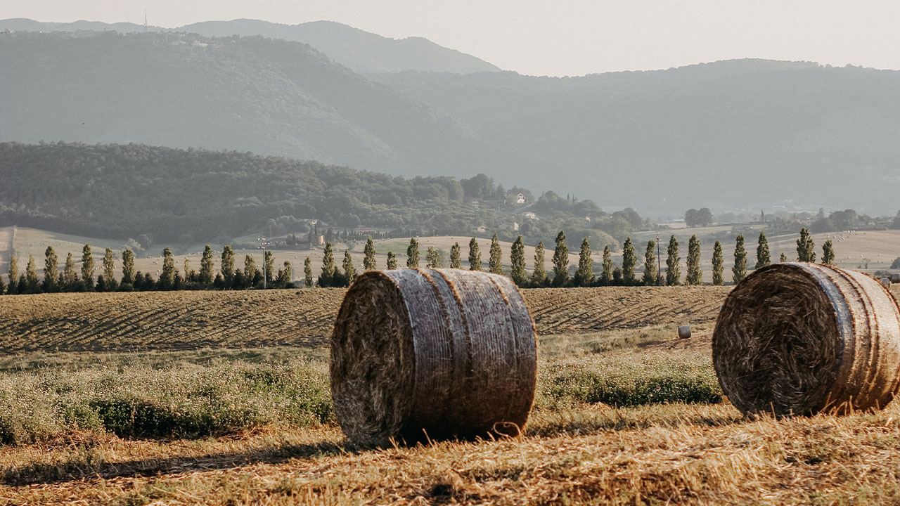 16_9_ArthurClaims_Website_23_0000_pexels-nati-17362180